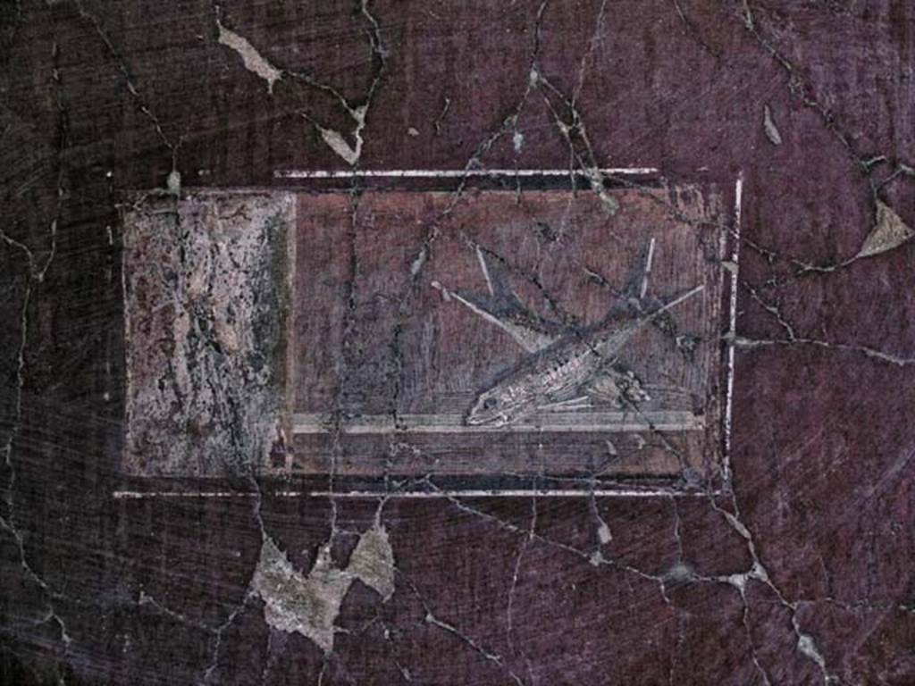 V.5, Herculaneum. May 2005. Room 8, west wall, painted panel of fish. Photo courtesy of Nicolas Monteix.